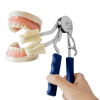 "JAWFREE" Oral Dilator (Non-Sterile)
